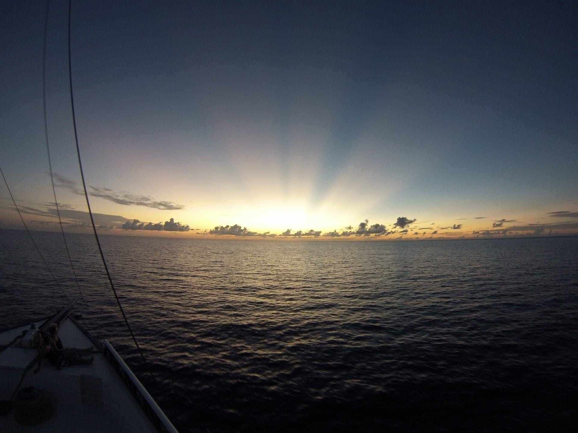 Day 2, Manta Rays And Dolphins