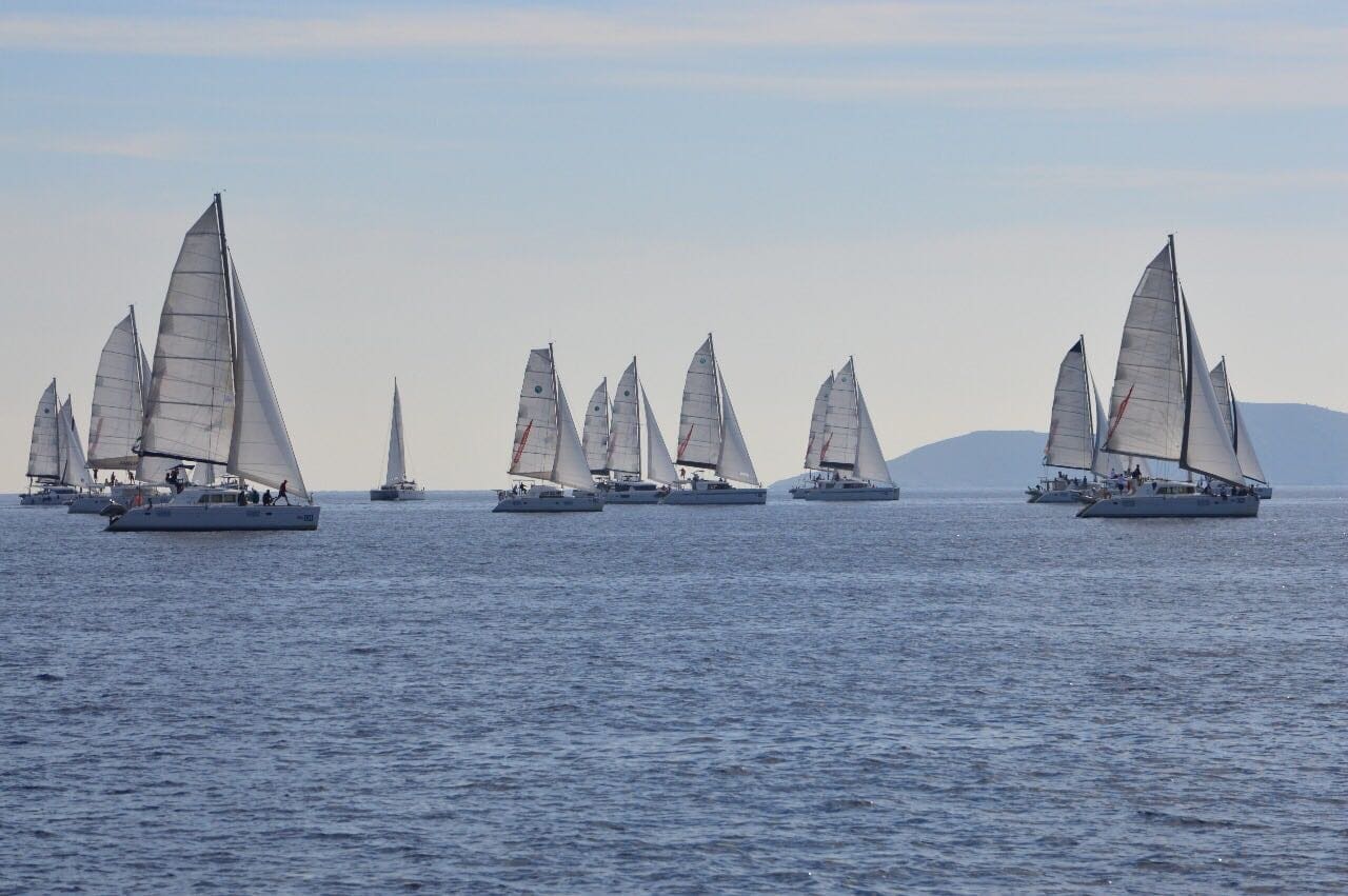 My First Regatta Catamarans Cup Racing