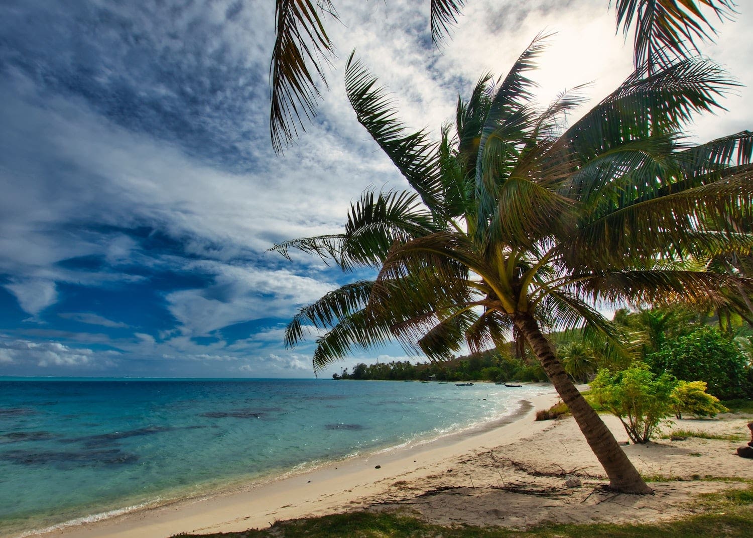 Far East Yacht Charter