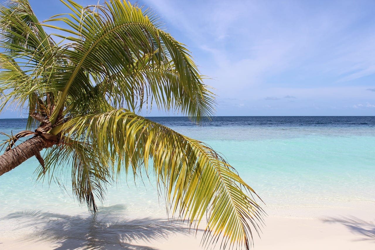 Best Time to Go to the Maldives
