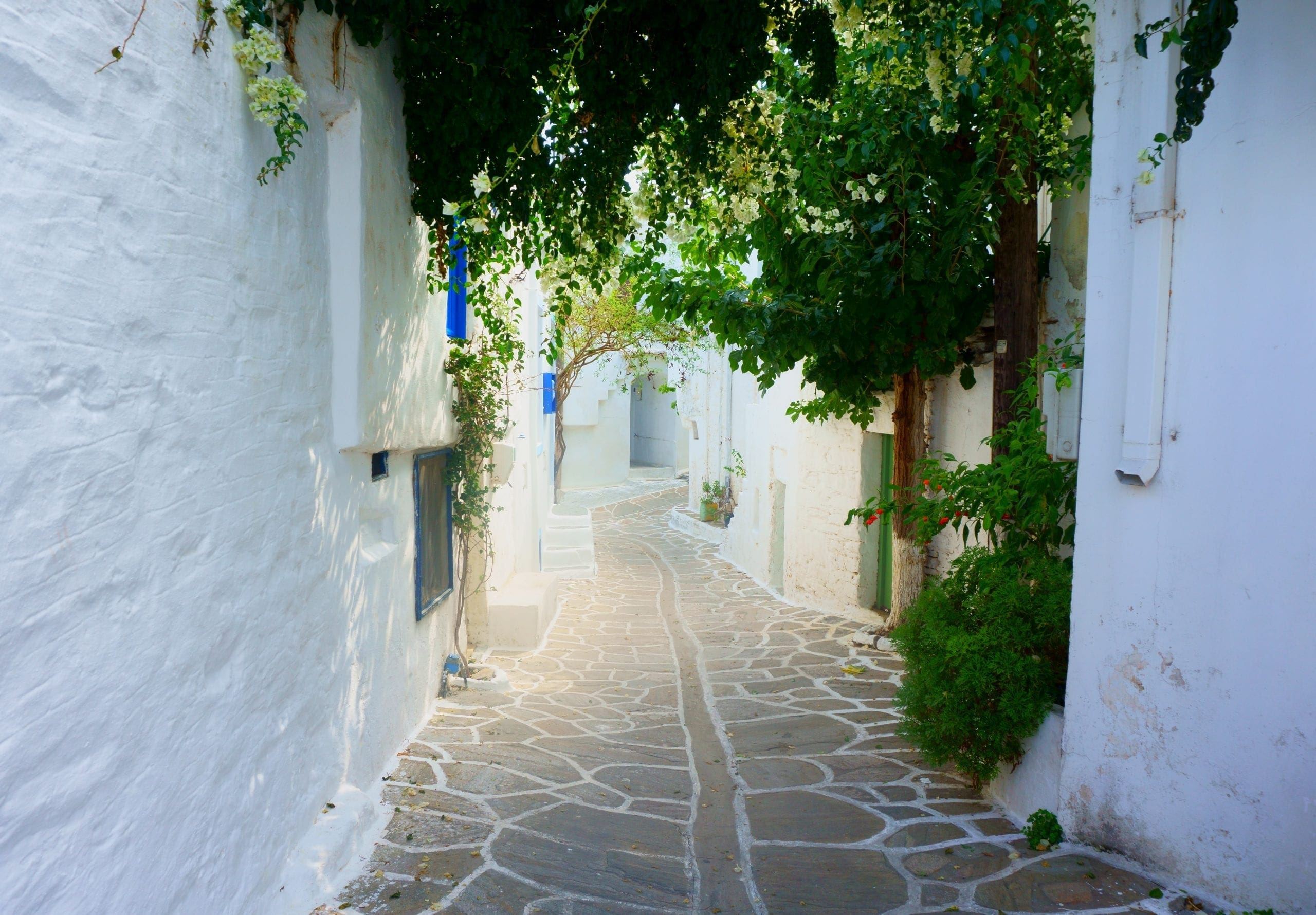 Paros