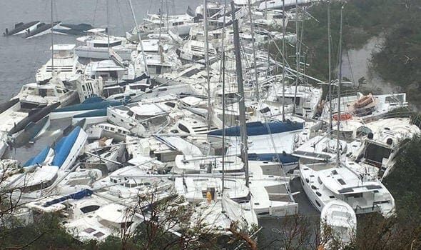 Everyone is Waiting for Willy T BVI to Reopen