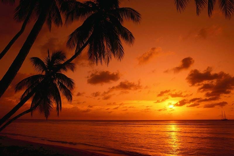 Why Should You Go On A Caribbean Yacht Charter With Skipper?