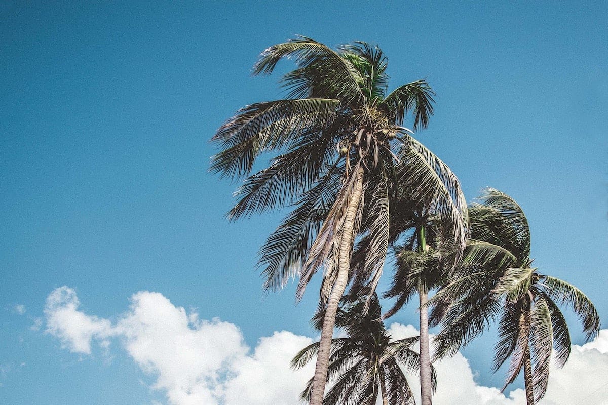 Cuba Sailing: 5 Great Reasons Why You Should Yacht Charter In Cuba