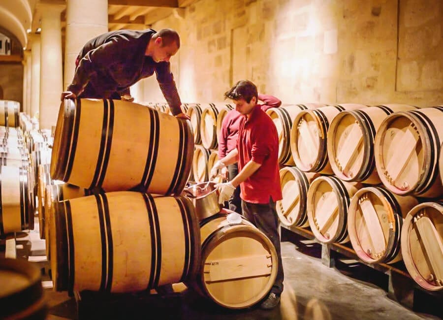 Gourmet Sailing Trip – Winery